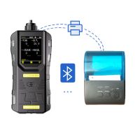 S316便攜式氣體檢測報警器